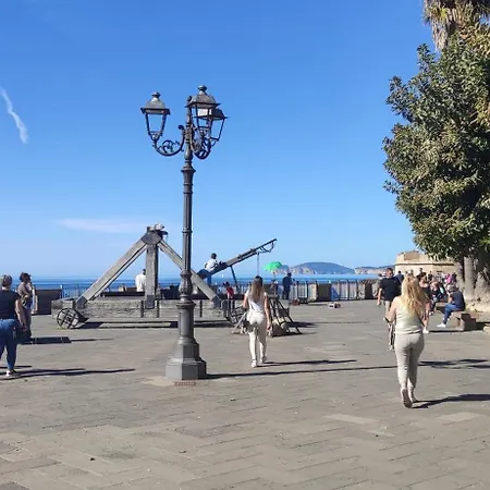 Old Town - Corallium *